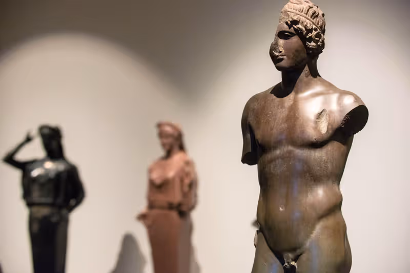 Collection of ancient Roman sculptures and artifacts displayed at the Palatine Museum.